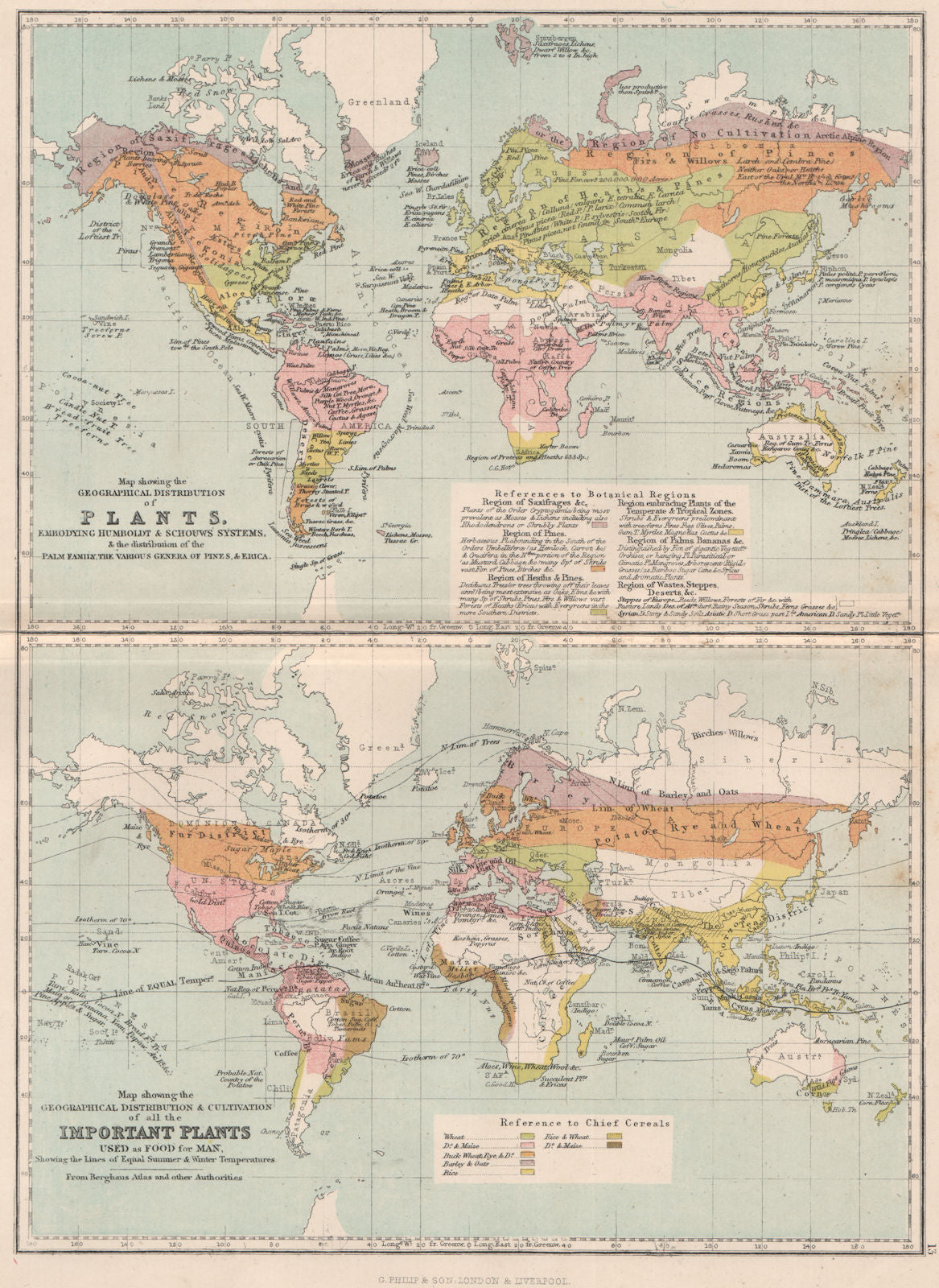 WORLD. Plant crop distribution. Humboldt Schouws;Palm pines Erica food 1886 map